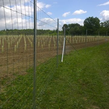 Triple X 1000m Light Deer Fence Kit