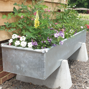 Large Trough Planter